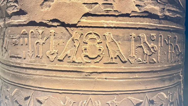 埃及人將糞金龜當成神聖的「聖甲蟲」