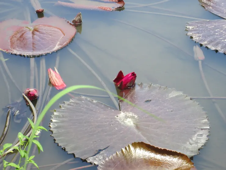 你要盡全力浮上來!!並且讓自己在這昏亂的時代亮起來!!