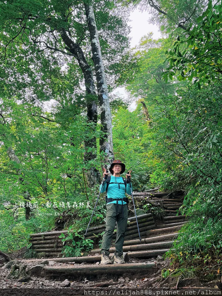 【2025初秋.鳥取県大山町登山趣】夏日登山口/海拔1709