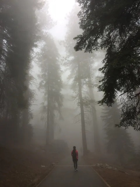 在迷霧中的探索。