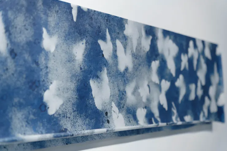 〈The Fall〉,氰顯影實物投影,蟬翼紙