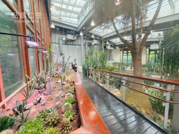 殺手機容量的多肉區｜台北典藏植物園