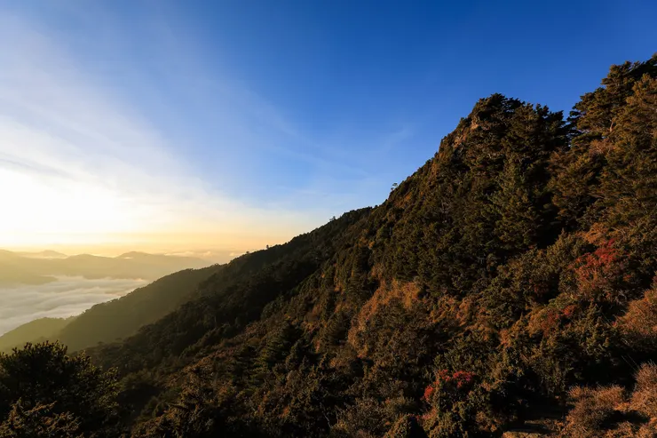 1月31日早上，卑南主山南峰北稜的美麗日出。尖聳的山頂是小曾墜落的斷稜，下方就是我們相依度過22小時的碎石坡，在朝陽的照耀下，成為最有意義的金黃日出。