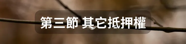 第三節 其它抵押權