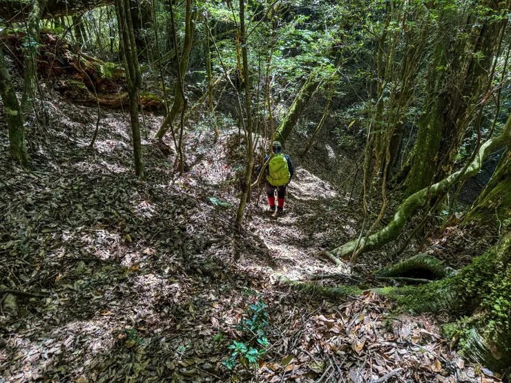 冷門的山徑，當天只有我們一組人馬