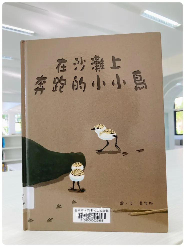 少數會留在台灣繁殖的候鳥「東方環頸鴴」