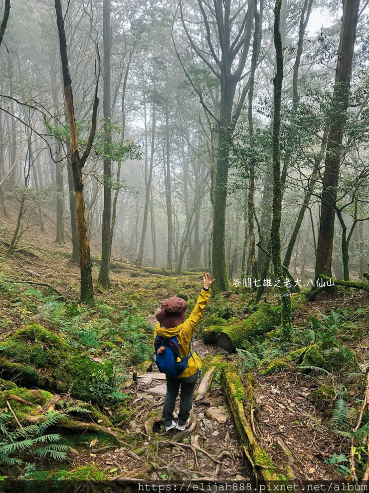 【谷關健行/住宿】谷關七雄老大。海拔2366公尺八仙山主峰。
