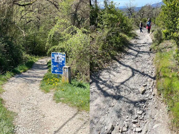 可怕的天堂路，入口是左邊的路走到後面變右邊👉🏻