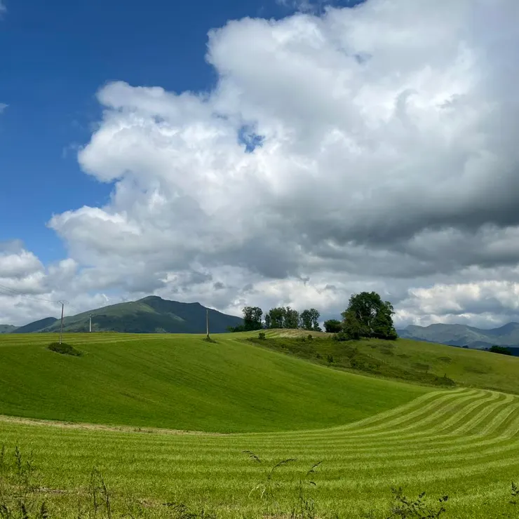 越往上爬，坡度越抖，笑不出來了