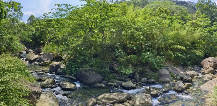 【四十二份湧泉常年水溫十八度 蓬萊賞魚聽溪聲時為鳥鳴留步】