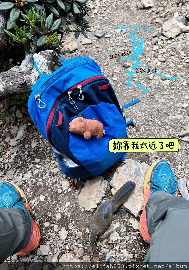 【2024合歡山避暑健行/清境&埔里住宿】合歡東峰/合歡南峰