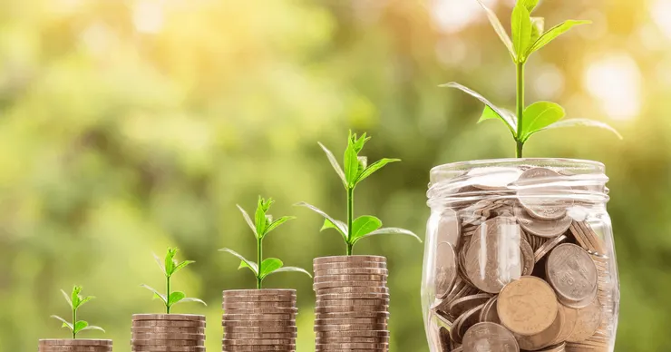 Image by Nattanan Kanchanaprat from Pixabay