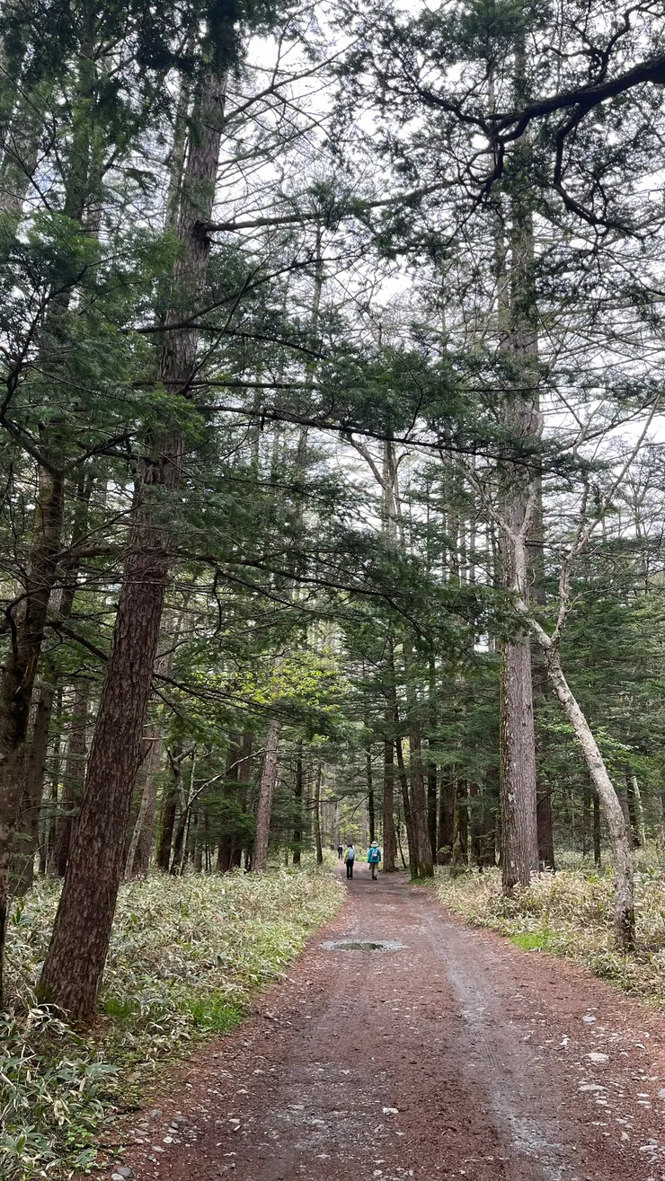 完全看不到前方通哪裡。