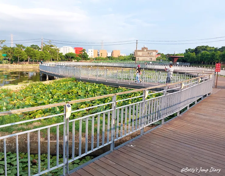 ▲2024桃園蓮花季/圖片來源:Betty's Jump Diary