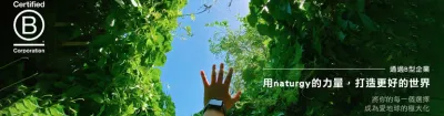 naturgy B型企業