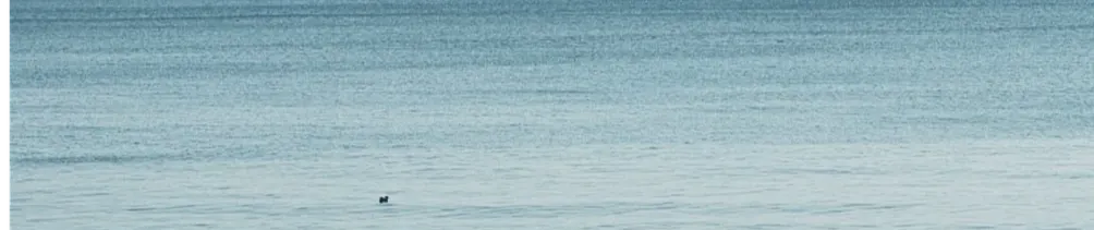 gracewithoutchen的沙龍