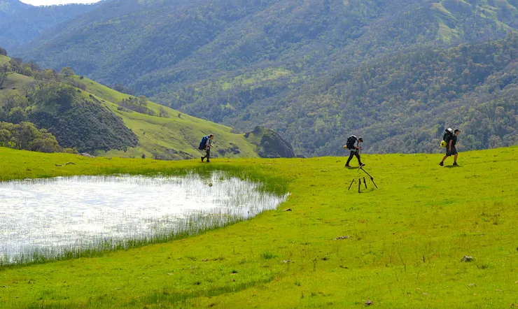 圖片來源：鱸魚