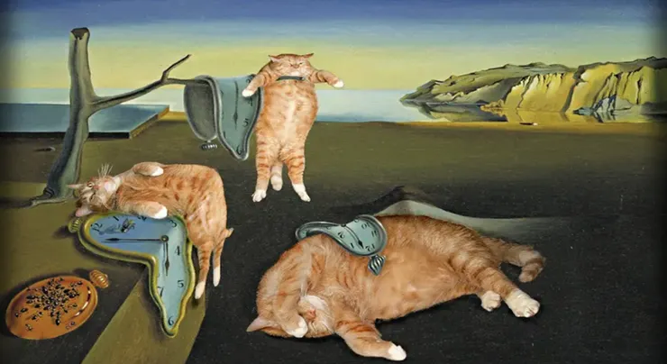 芮尼克養的貓大概也按耐不住性子了吧?