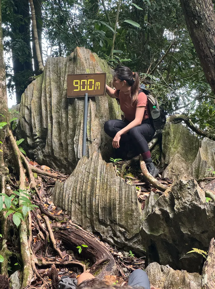 馬來西亞熱帶雨林的探險