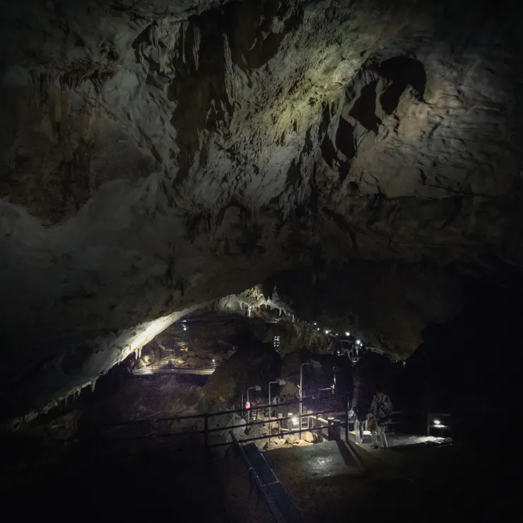 編號5 由上往下