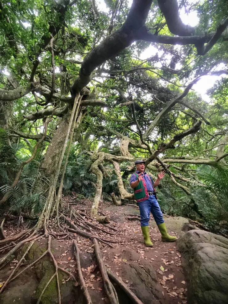 很幸運剛好遇到「阿力曼」本人導覽