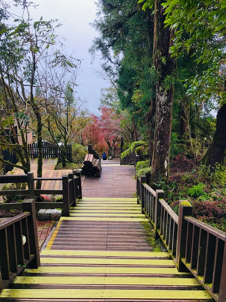 沿著中央階梯往回走