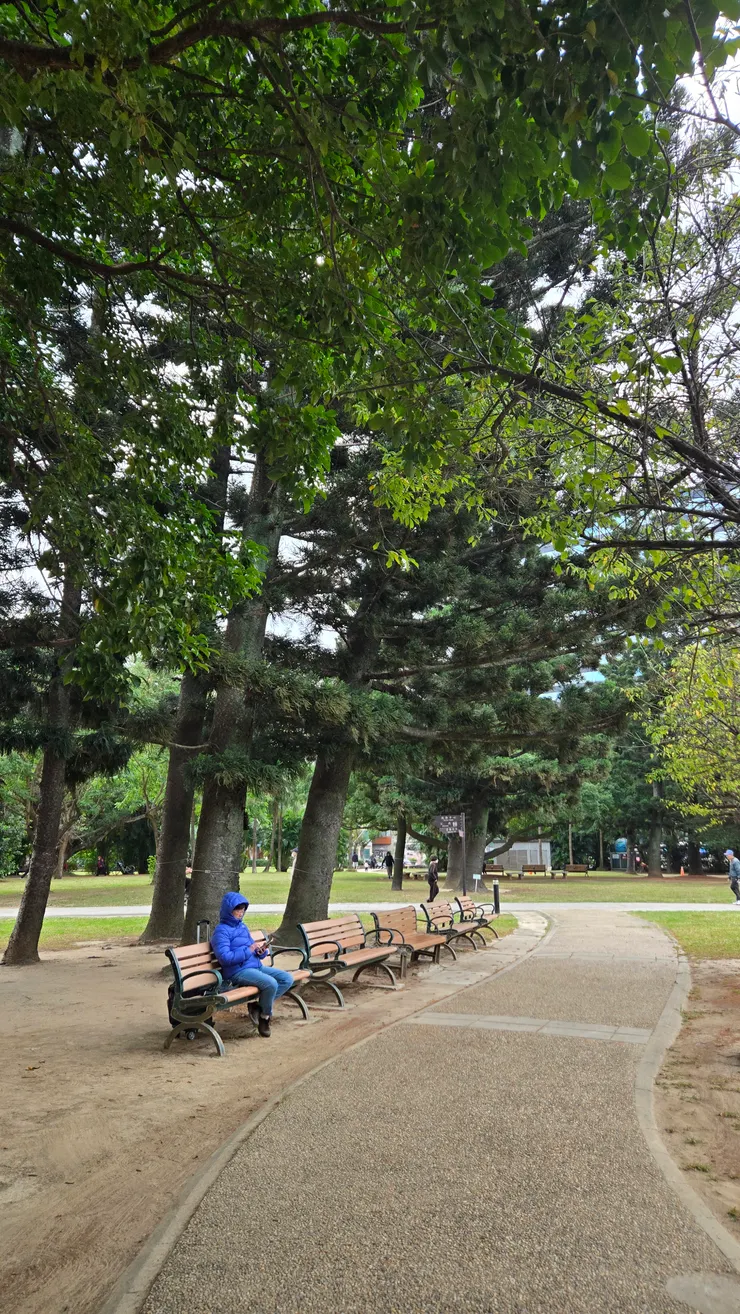 夏令1215清晨寫於榮星花園某座長椅上