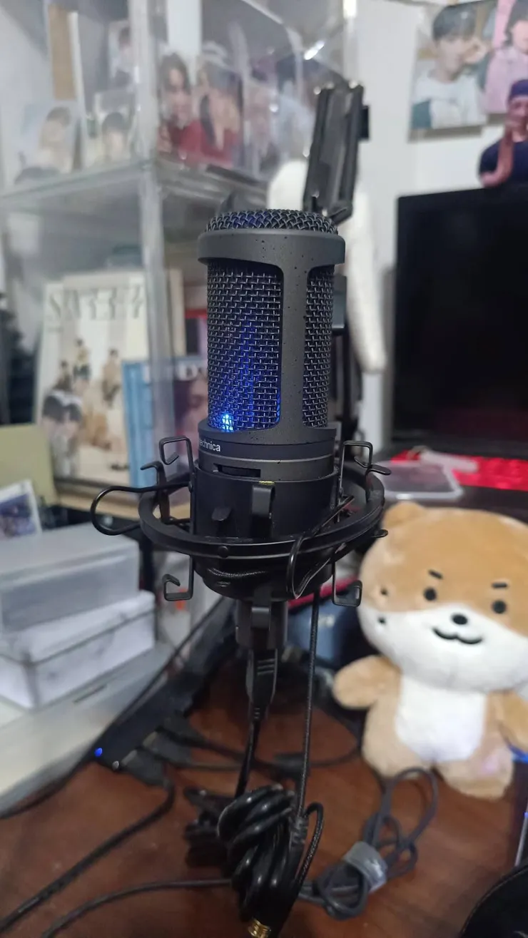 我家的AT2020（附帶了一隻燦獺）