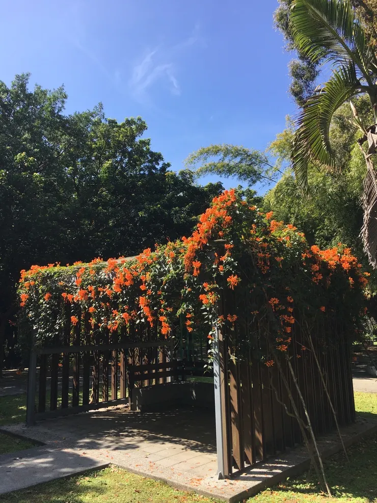花亭