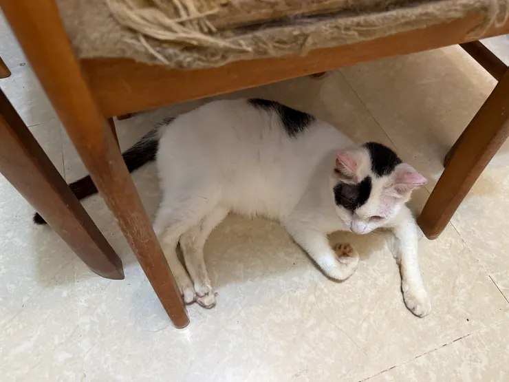 牛仔。圖片由老葉拍攝。