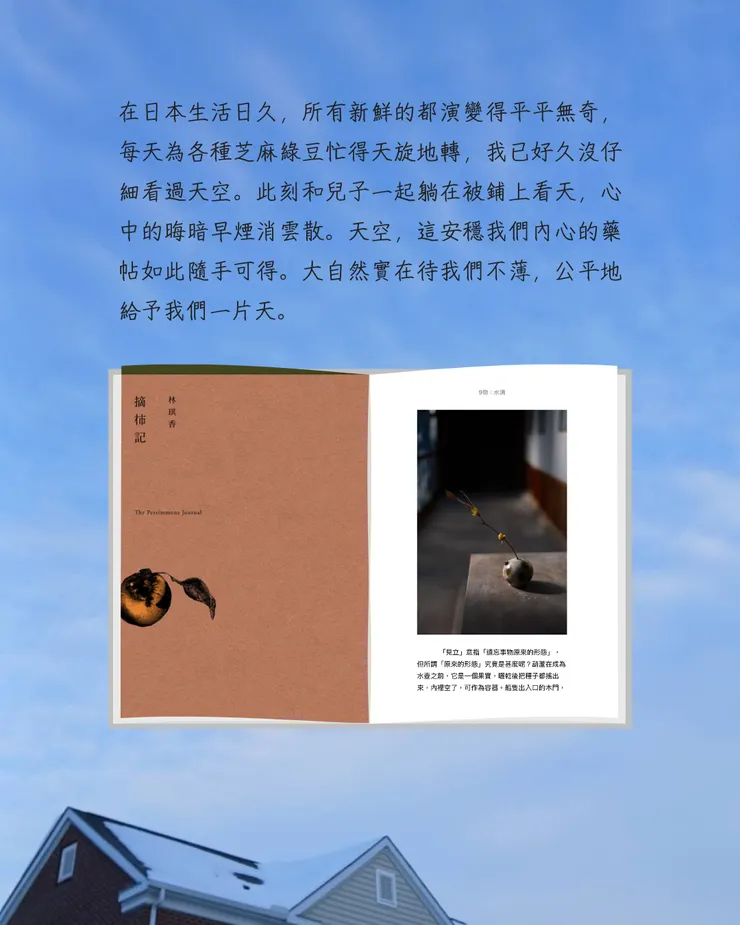 摘柿記
