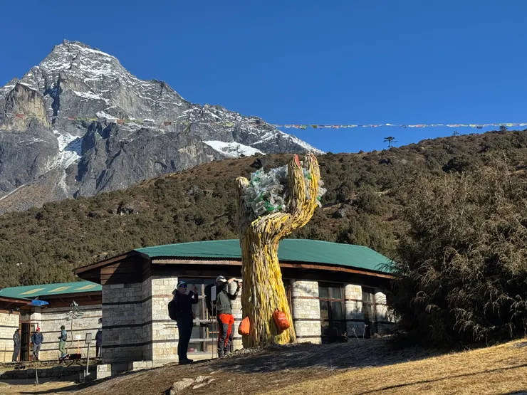 真正的亮點其實是這座博物館。