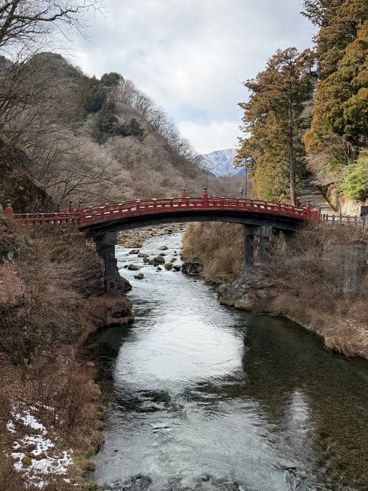 冬天沒有楓葉，但配上一點雪也有不同的感覺