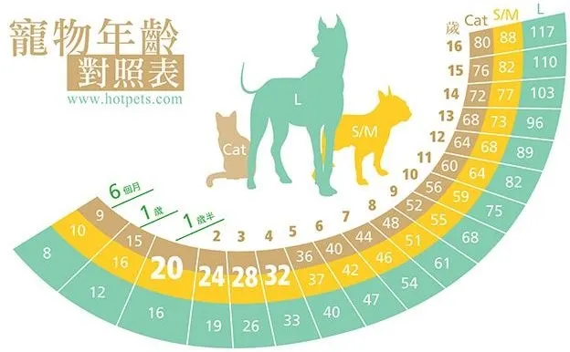 中華民國保護動物協會