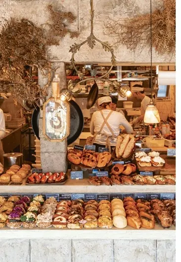 網路上借來的AMAM DACOTAN 照片。真的很美啊！