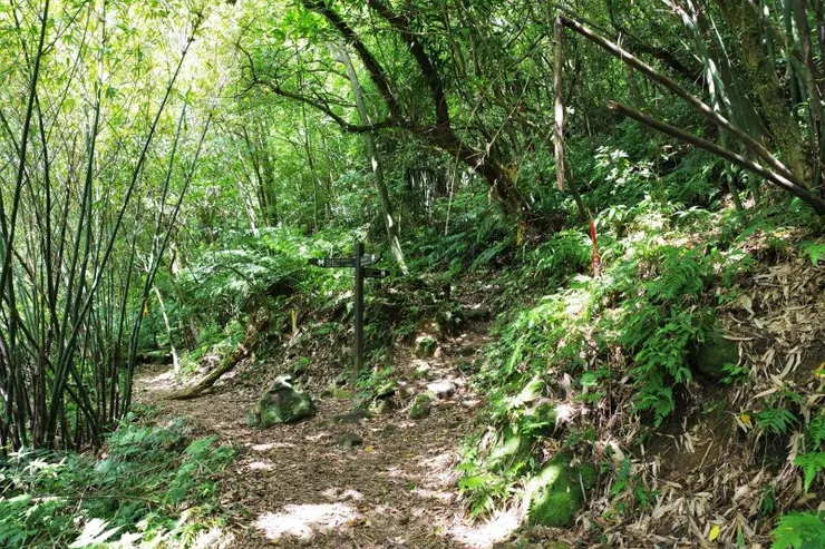 燦光寮古道與楊廷理古道叉路口