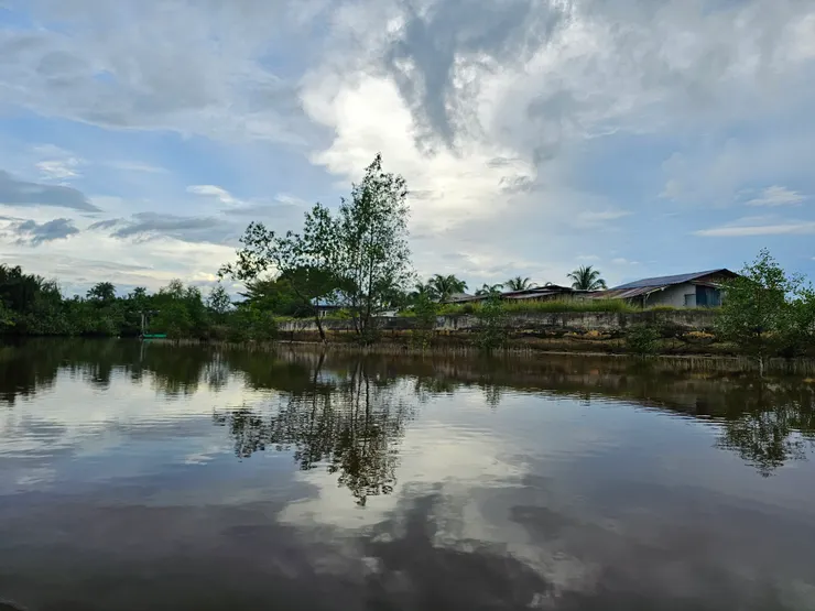 沿岸的風景