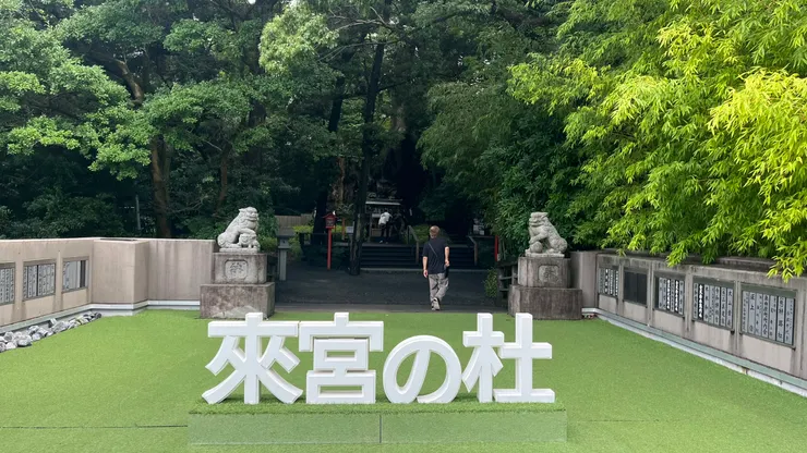 這邊目前不只是神社，也被打造成「好拍景點」。