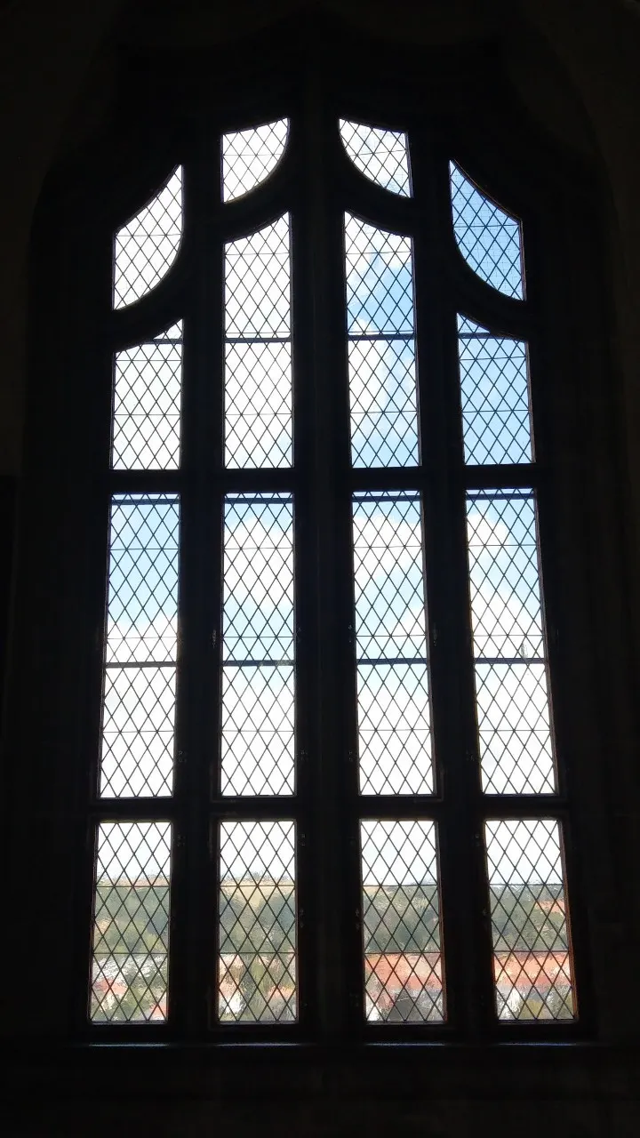 「火焰式」曲線