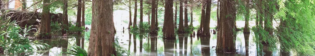 埃絲特•希望之星的沙龍