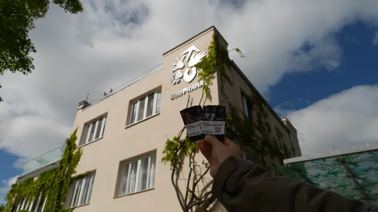 這門票看起來真有質感