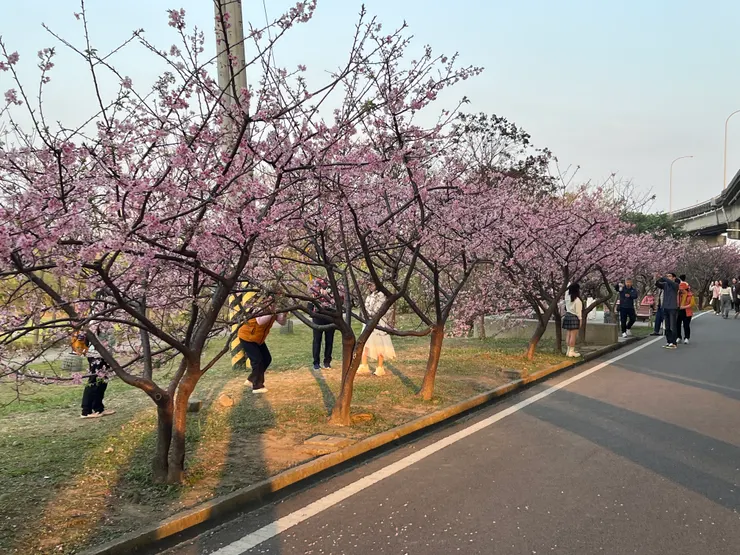 頭前溪生態公園