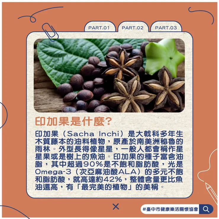 PART.2印加果是什麼?