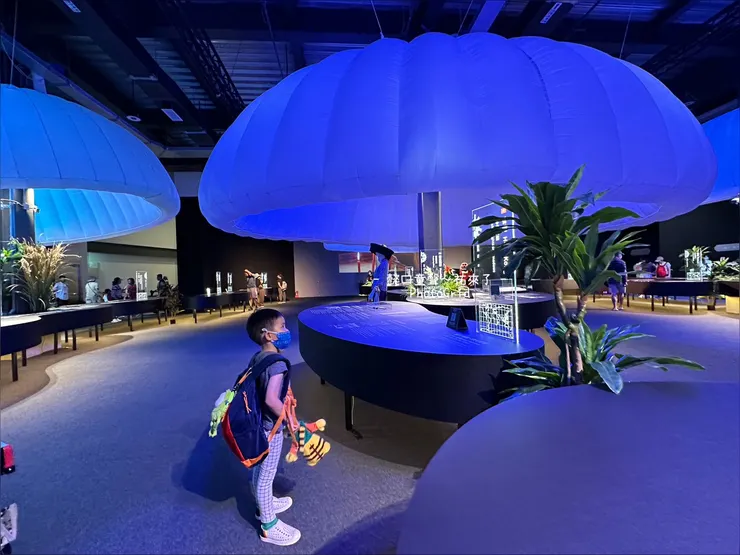 隨著孩子一一念出國名，我也跟著訝異原來客家人到世界各處扎根。