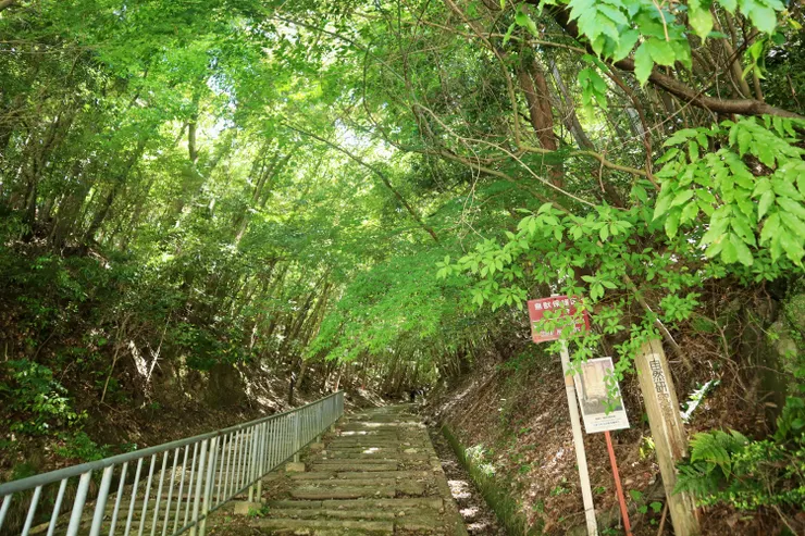 終於出了山路！此為出入口，背後即馬路