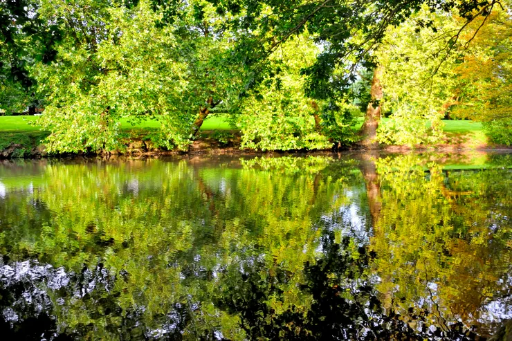 【環顧三十英畝森林草原河流湖泊！給人寧靜感的倒影。】