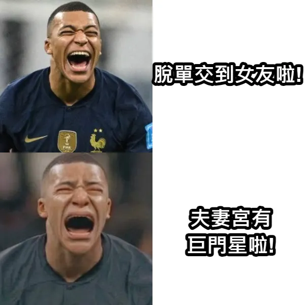 這個梗圖和這個主題好搭，說不定會一直用XDD