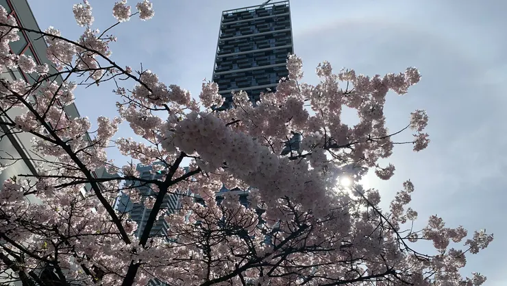 這個光暈也真是的...七彩耶~