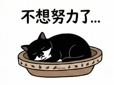 婦女節特輯 ♥ 24 小時靈魂互換——我想成為「她／他」