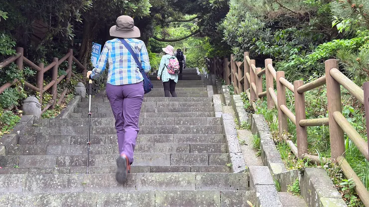 薄霧中拾級而上